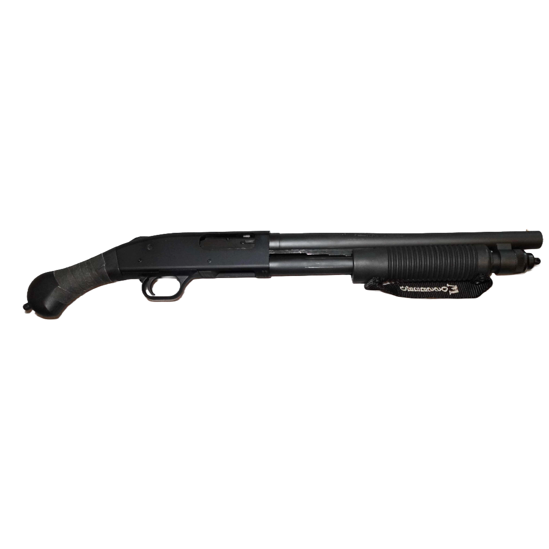 https://thebaconnation.com/others/shockwave.php